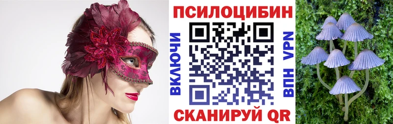 Галлюциногенные грибы Cubensis  купить наркоту  мориарти какой сайт  Ачхой-Мартан 